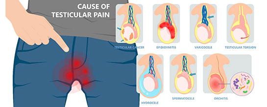 How to Care for Your Child with a scrotal swelling 